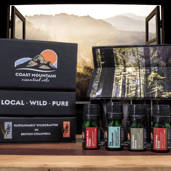 Wildcrafted Essential Oil Gift Pack (4x5ml)