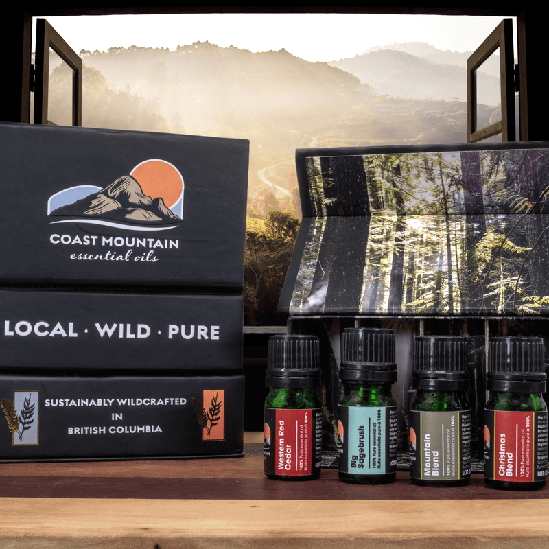 Wildcrafted Essential Oil Gift Pack (4x5ml)